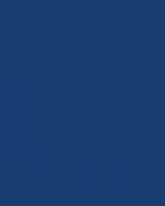 Custom image caption